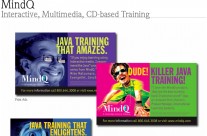 MindQ Training